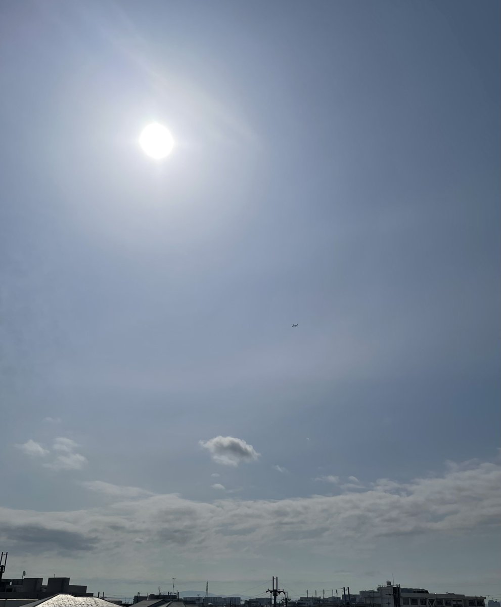 おはようございます☀️
18.6℃

目痒い…まだなのかー

------
NH771