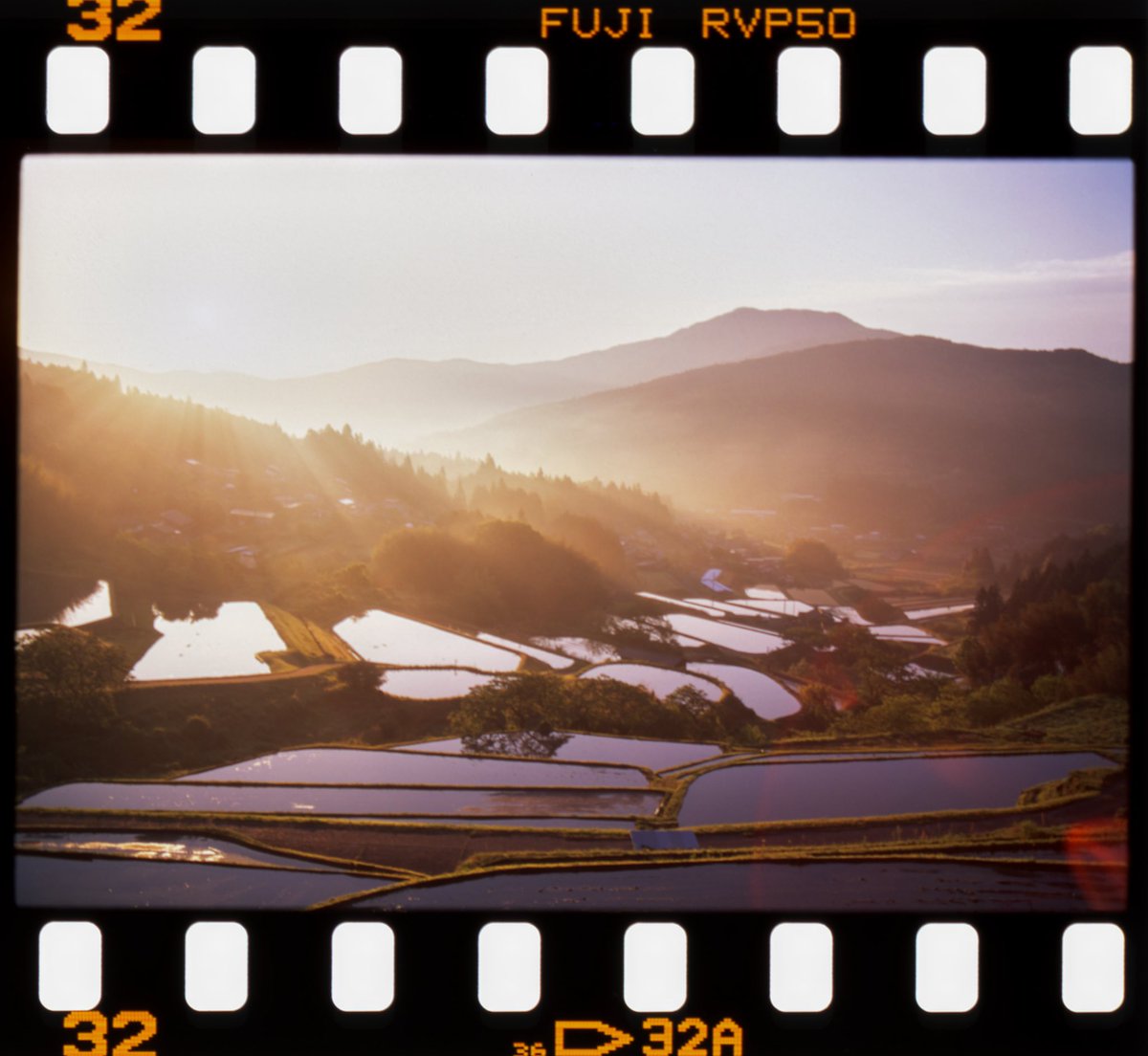 noroshi_fotos's tweet image. おはようます
水田の季節ですねぇ

Leicaflex SL
Summicron-R 35mm f2
VELVIA 50

#filmphotography