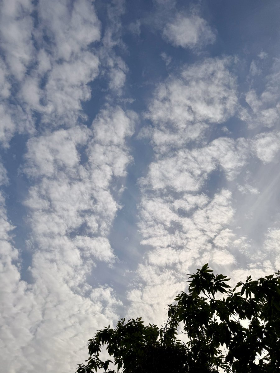 MSNR_TP14's tweet image. Good morning 

本日は気温が上がるそうで
暑くなりそうですね

おはようございます

#photograph #clouds #littlehappiness #nowar #peace