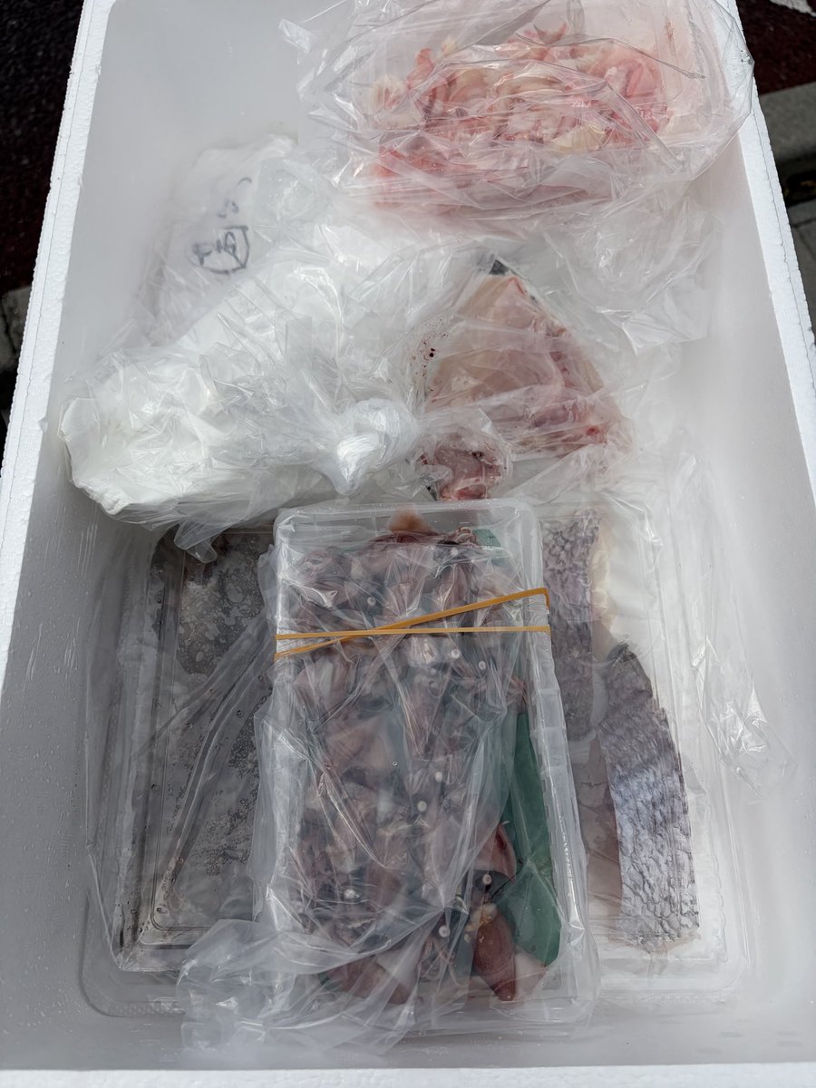 イロハ tweet media