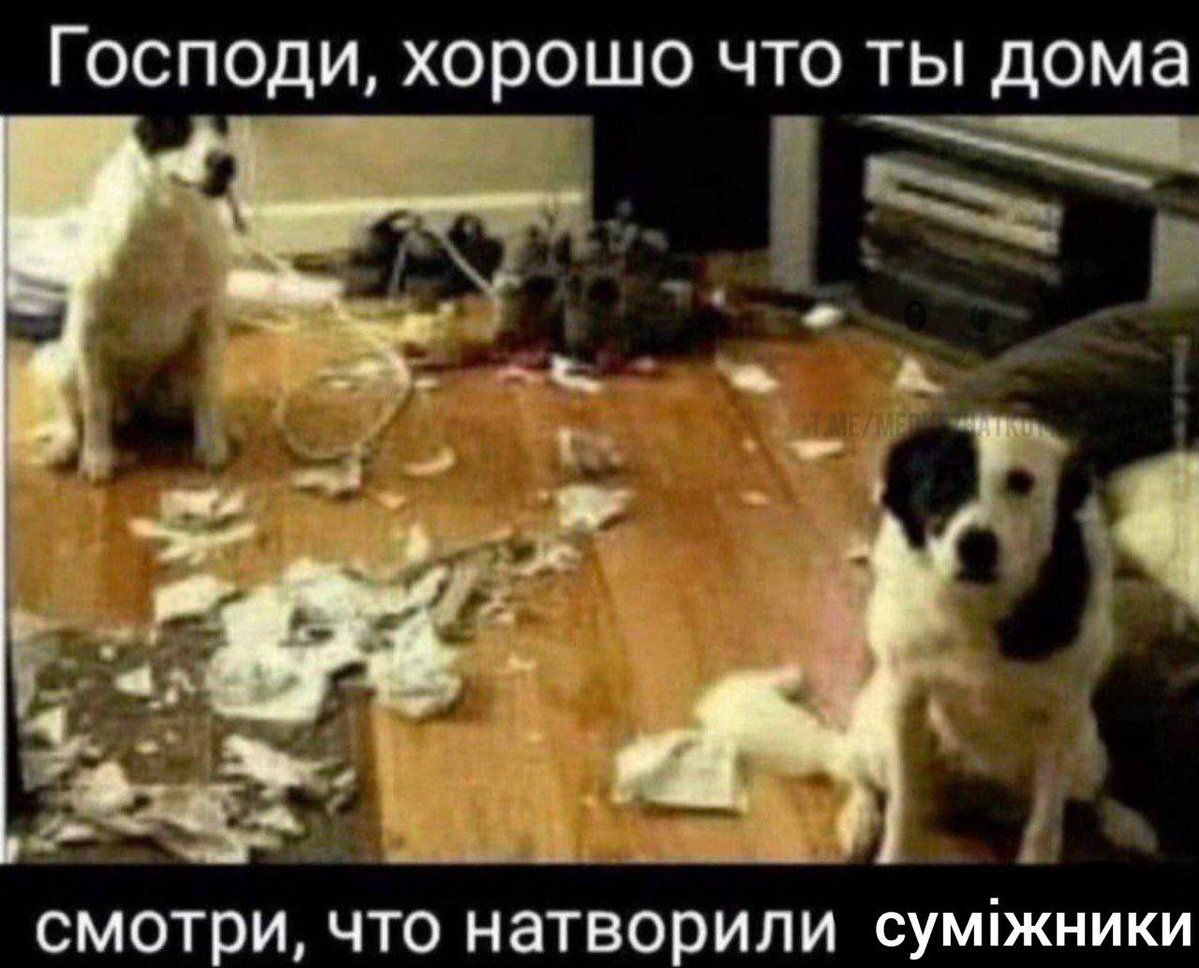 Пан слобопітек (по масті - громадянин) tweet media