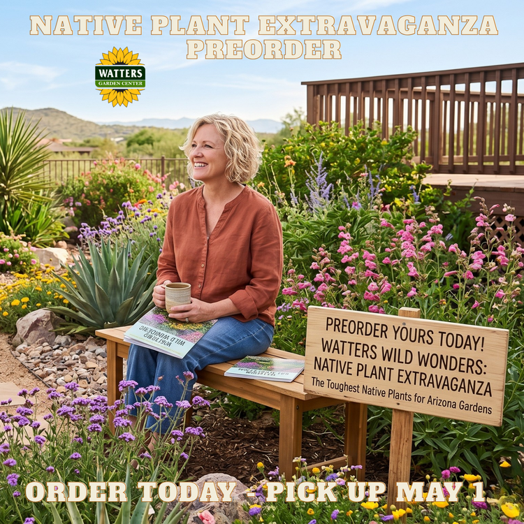 WattersGardenCn's tweet image. Native Beauty, Zero Stress. 🌵✨
Create a landscape that thrives on its own. Shop the collection now: wattersgardencenter.com/cdn/shop/colle…

#WildWonders #NativePlants #WattersGardenCenter #PrescottAZ #SustainableGardening #ArizonaNative #MountainGardening #OnlineExclusive