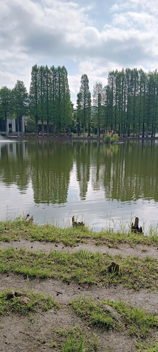 madoromi_titan's tweet photo. おはようございます。
本日のさいたま市別所沼公園付近の天気は雲間の多い晴れ。

至高の肉球を求めて
本日もよろしくお願いいたします!

#企業公式が毎朝地元の天気を言い合う

https://t.co/8Xi9S5KqYN https://t.co/LHf1fdlWRj