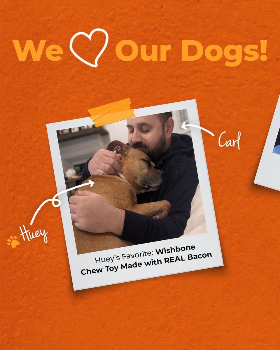 Nylabone Products tweet media