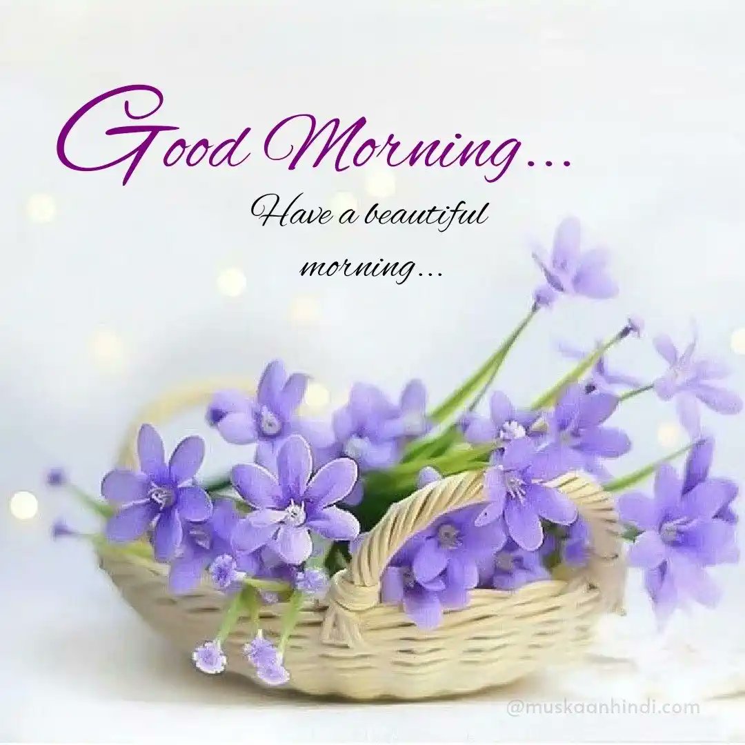 𝔗𝔞𝔶𝔬 tweet media