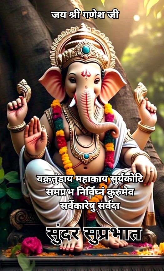 Sanjib Mainali 🇳🇵 tweet media
