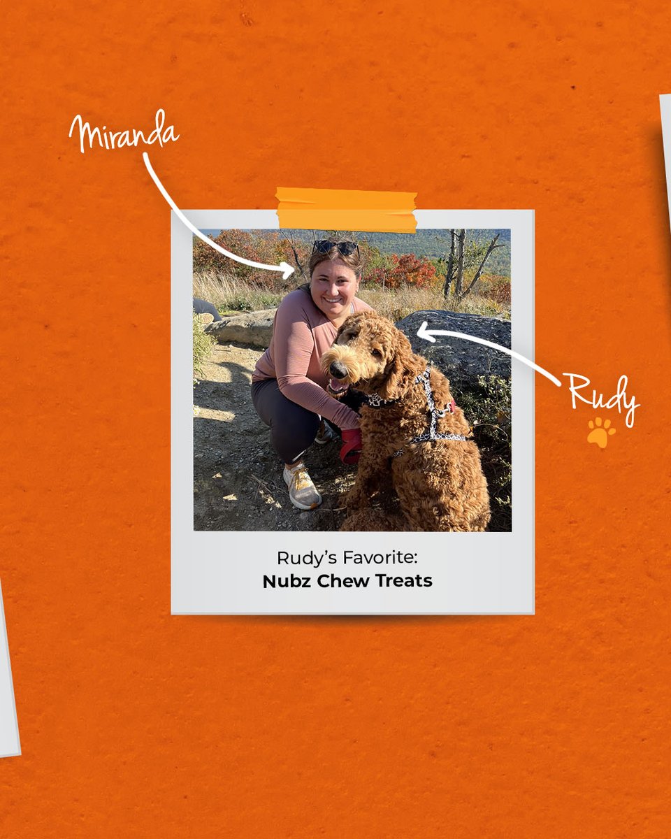 Nylabone Products tweet media
