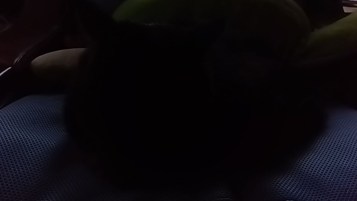 澄刃楼_渚紗@ゆっくり茶番者に憧れるゆっくり雑談者 tweet media