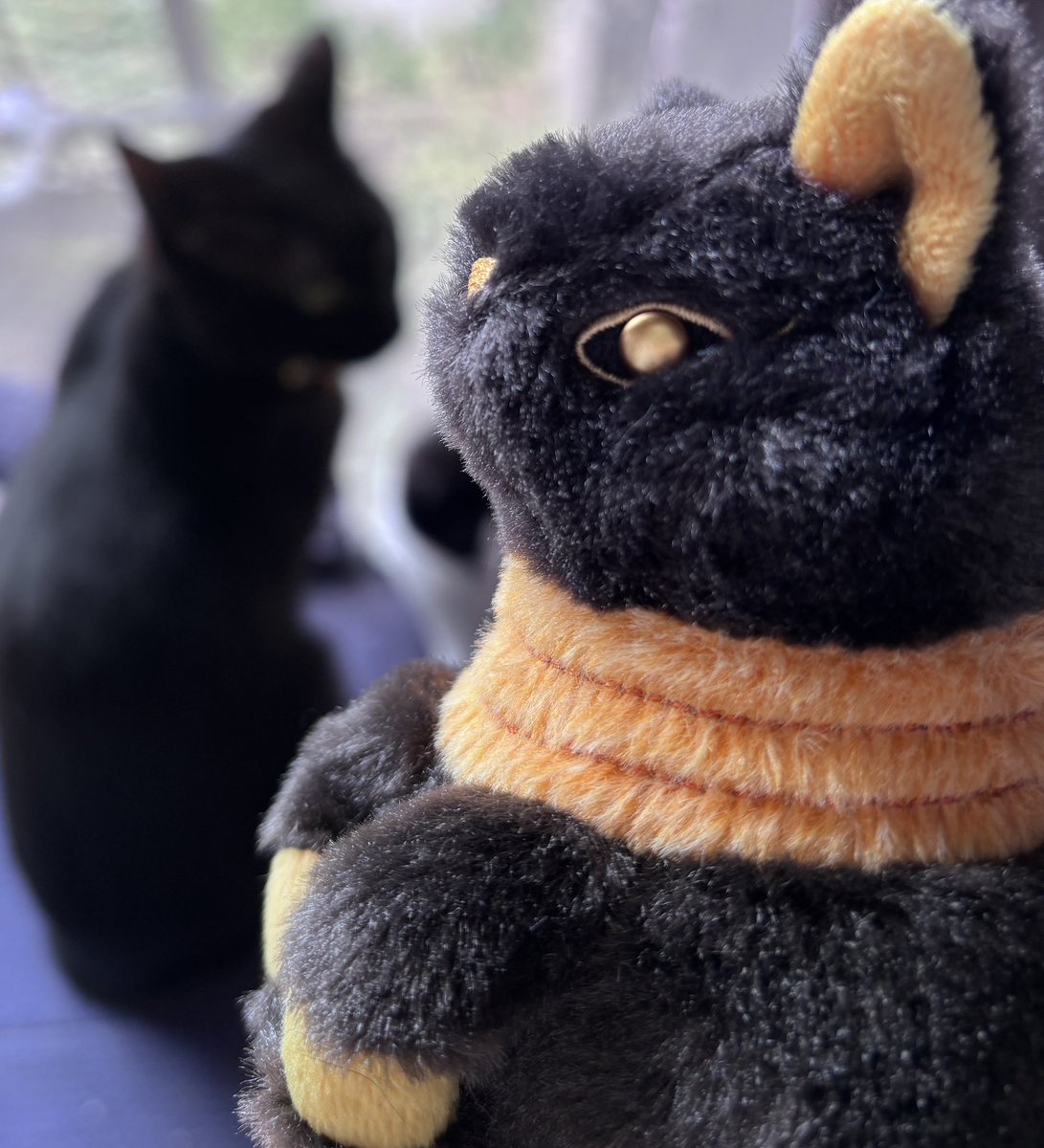 【最終値下げ！】BabyThree　800%　黒猫　ゴールド　バブ VRクフのエジプトグッズが凄く増えていた！！✨バステトちゃん購入 目