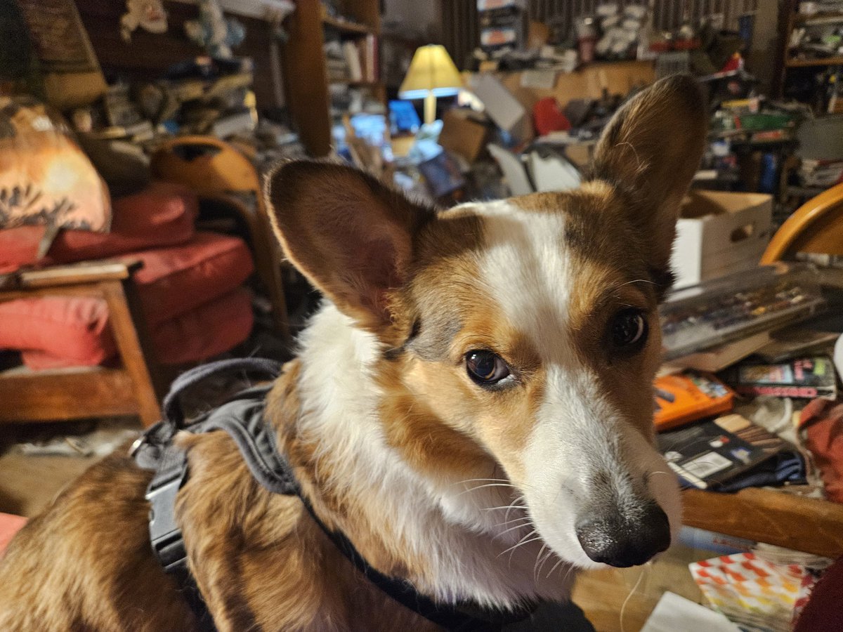 Alexander Luft tweet media