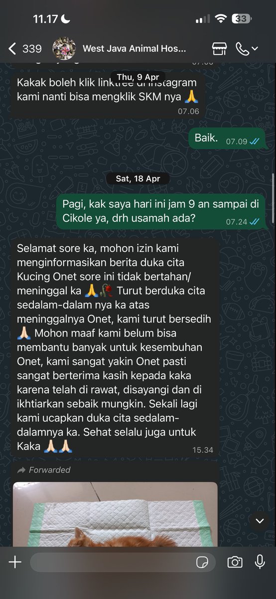 Dua Paw tweet media