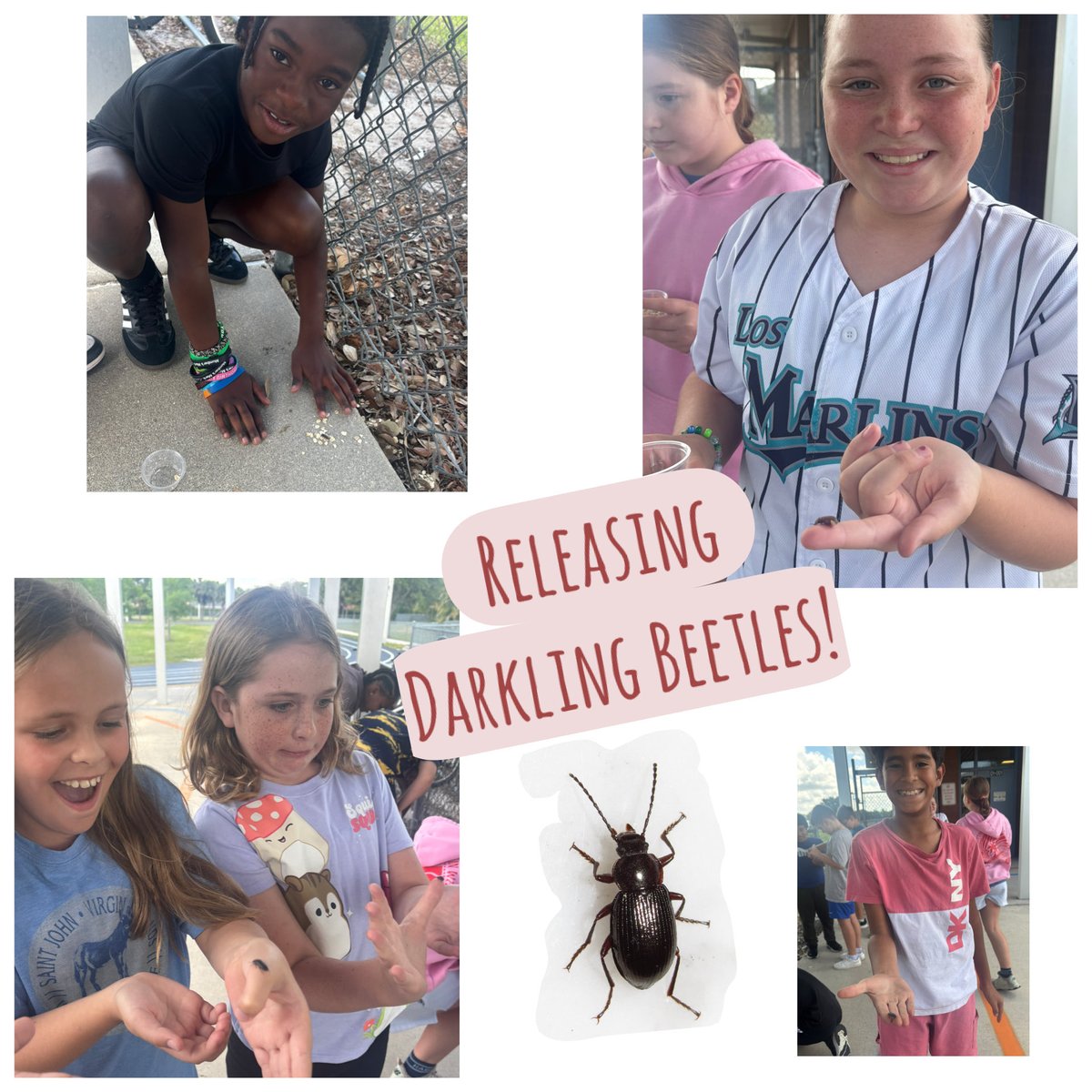 Gateway Elementary tweet media