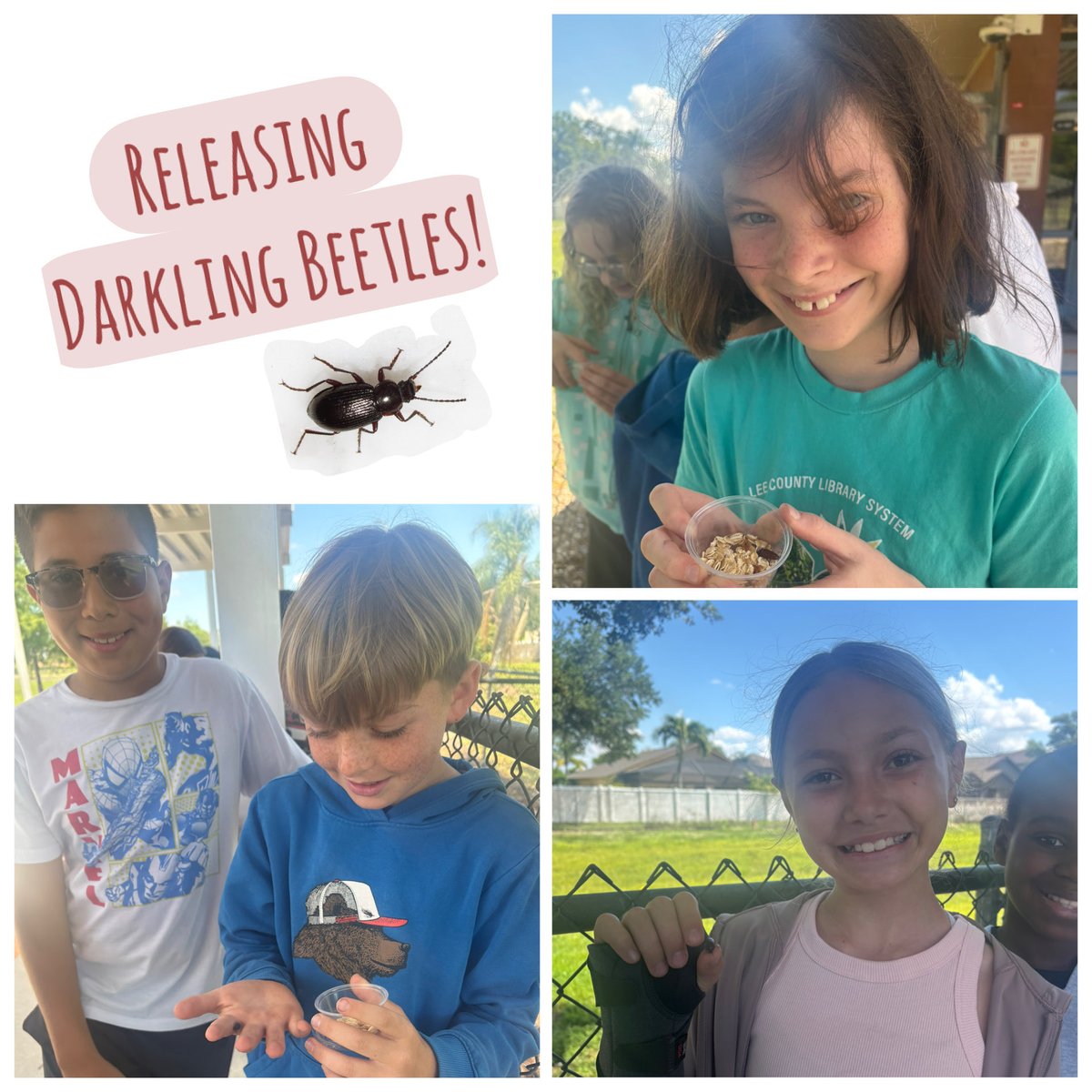 Gateway Elementary tweet media