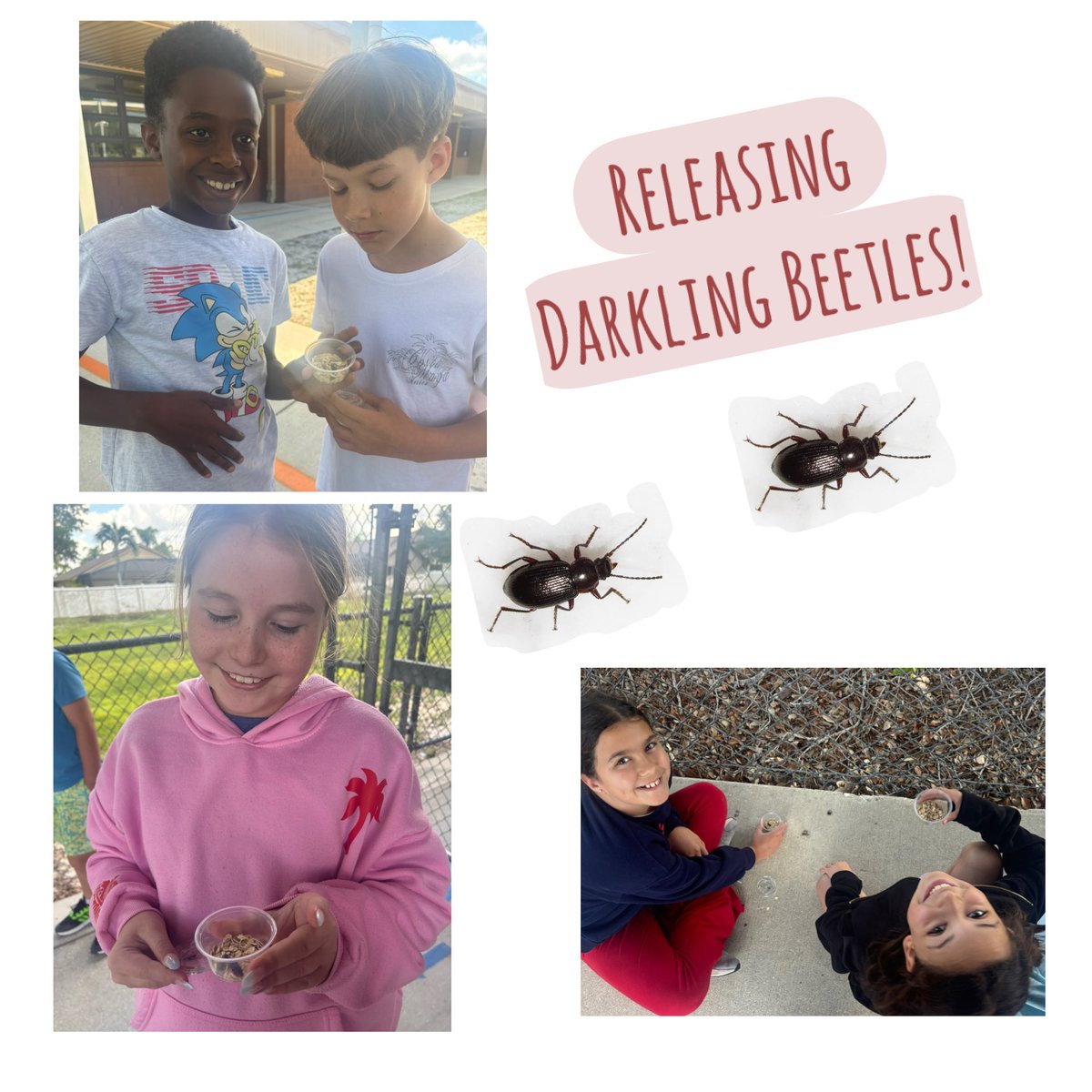 Gateway Elementary tweet media