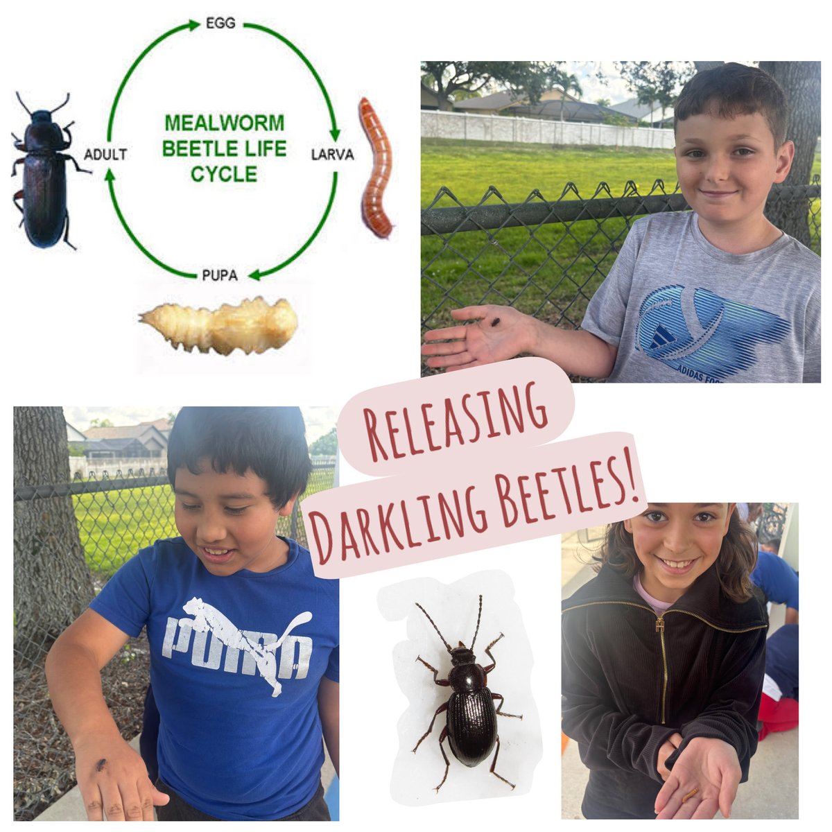 Gateway Elementary tweet media