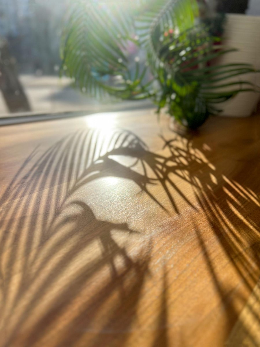 TheRealNorieD's tweet image. You made it to another day, that’s already a blessing.

No looking back.

No overthinking.

Just you, your goals, and the next right move.

Keep it simple. Keep going. #TuesdayMorning