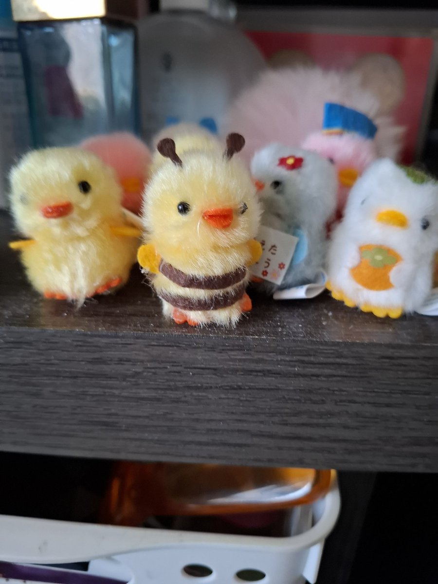 つくし tweet media