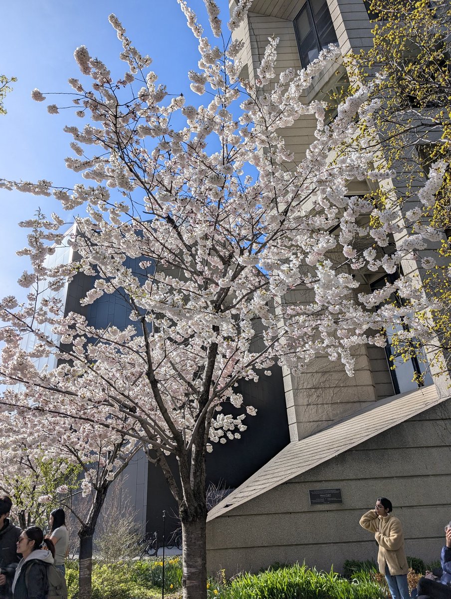 mellymaracuja's tweet image. #toronto