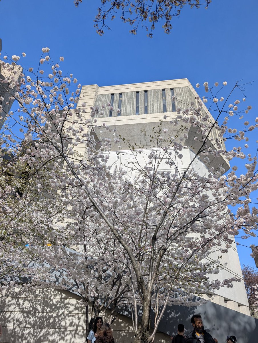 mellymaracuja's tweet image. #toronto