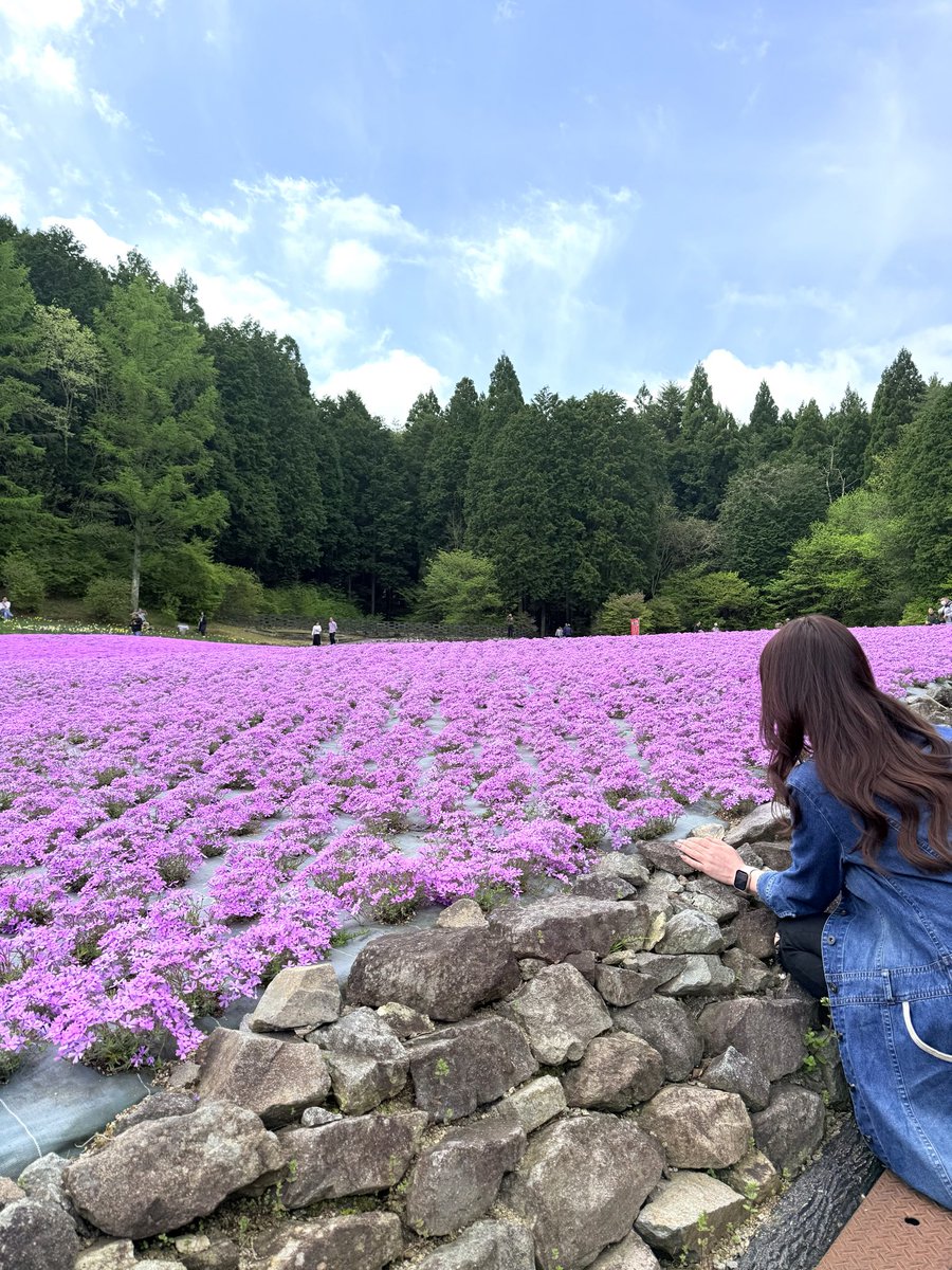 miwa❥ tweet media