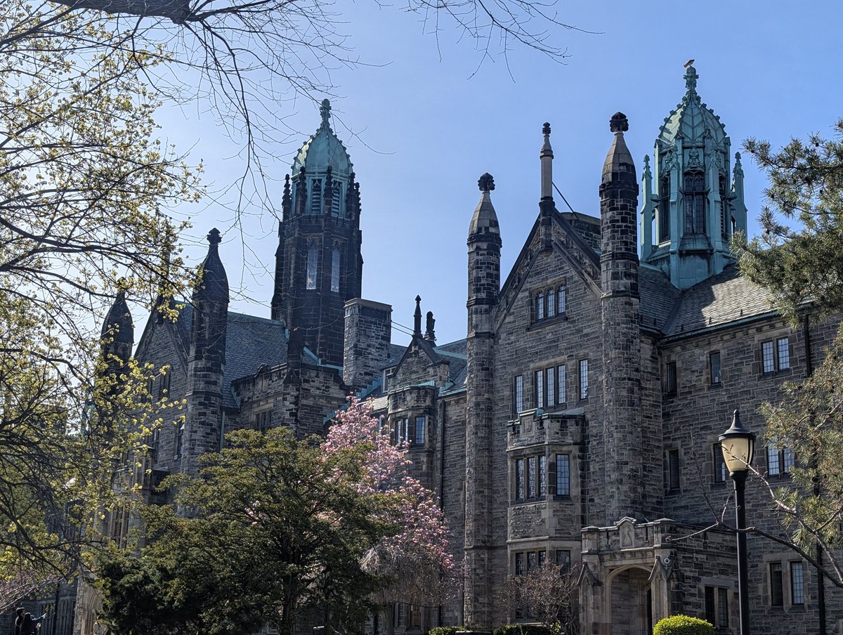 mellymaracuja's tweet image. #toronto