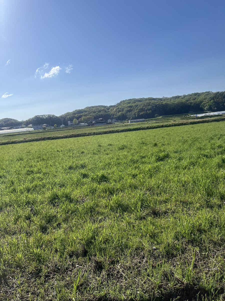 ちゃあちゃん🍩 tweet media