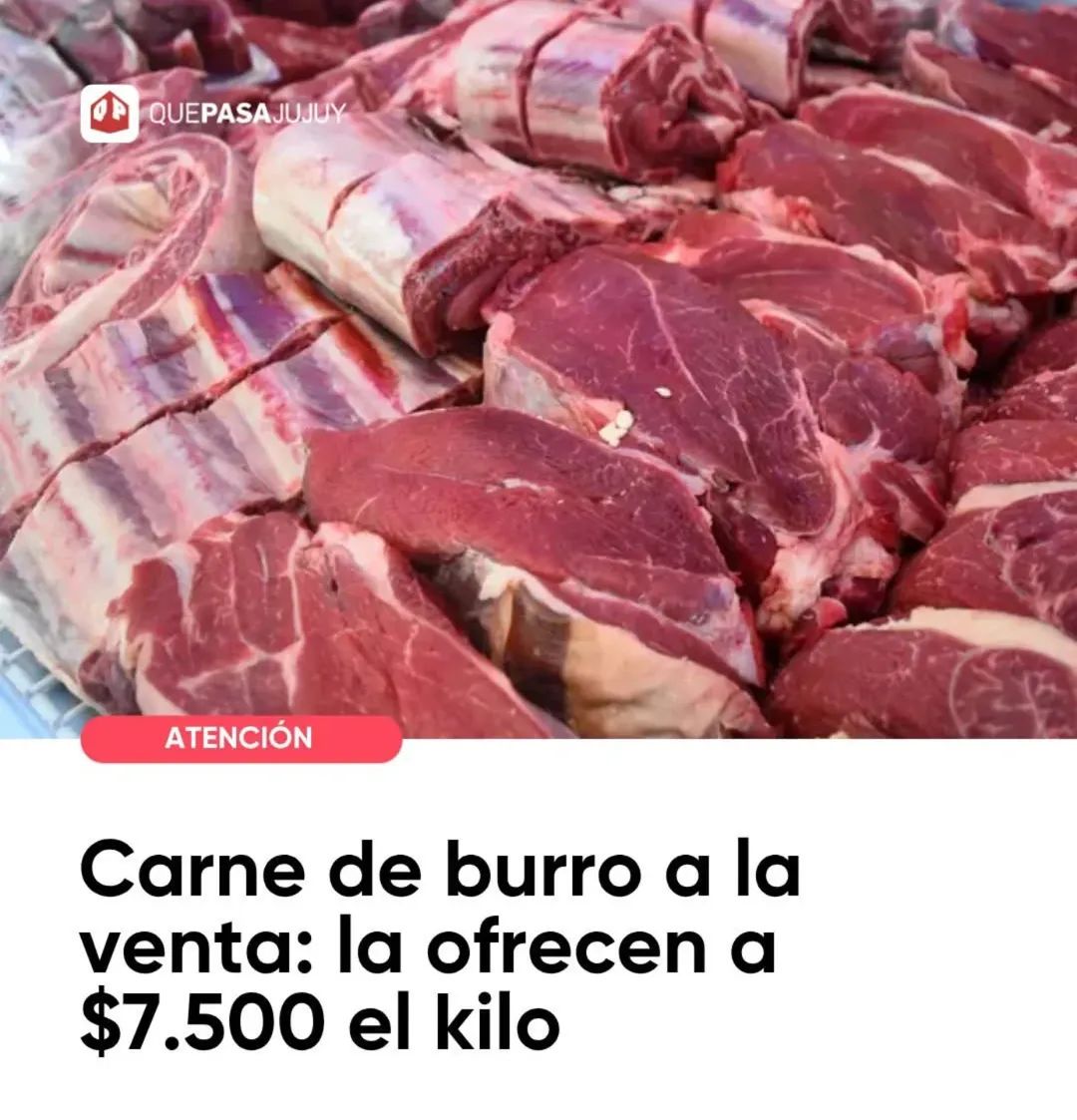 Jorge Bravo tweet media