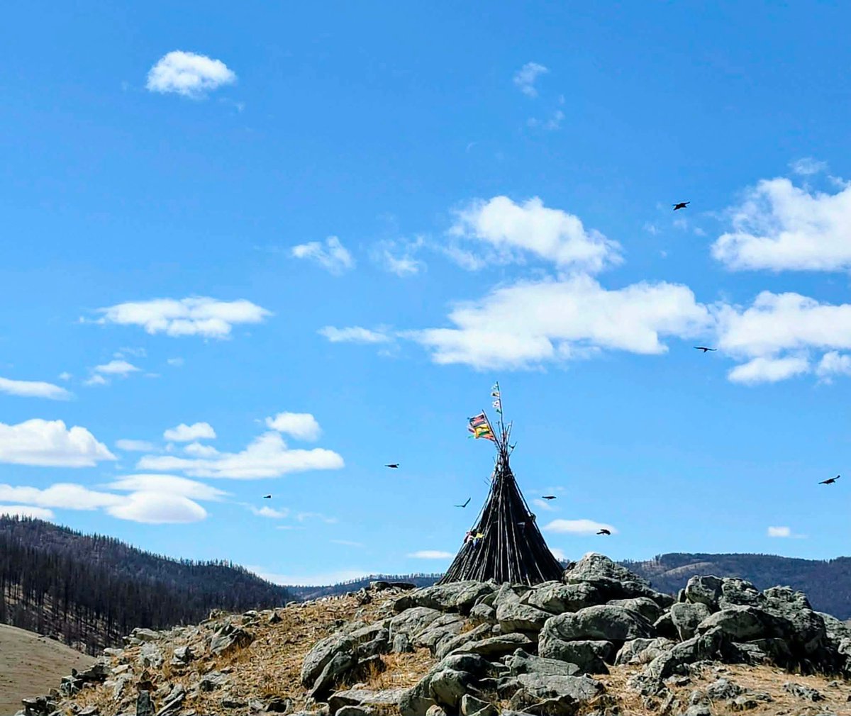 Sarnai🇲🇳🇲🇳🇲🇳 tweet media