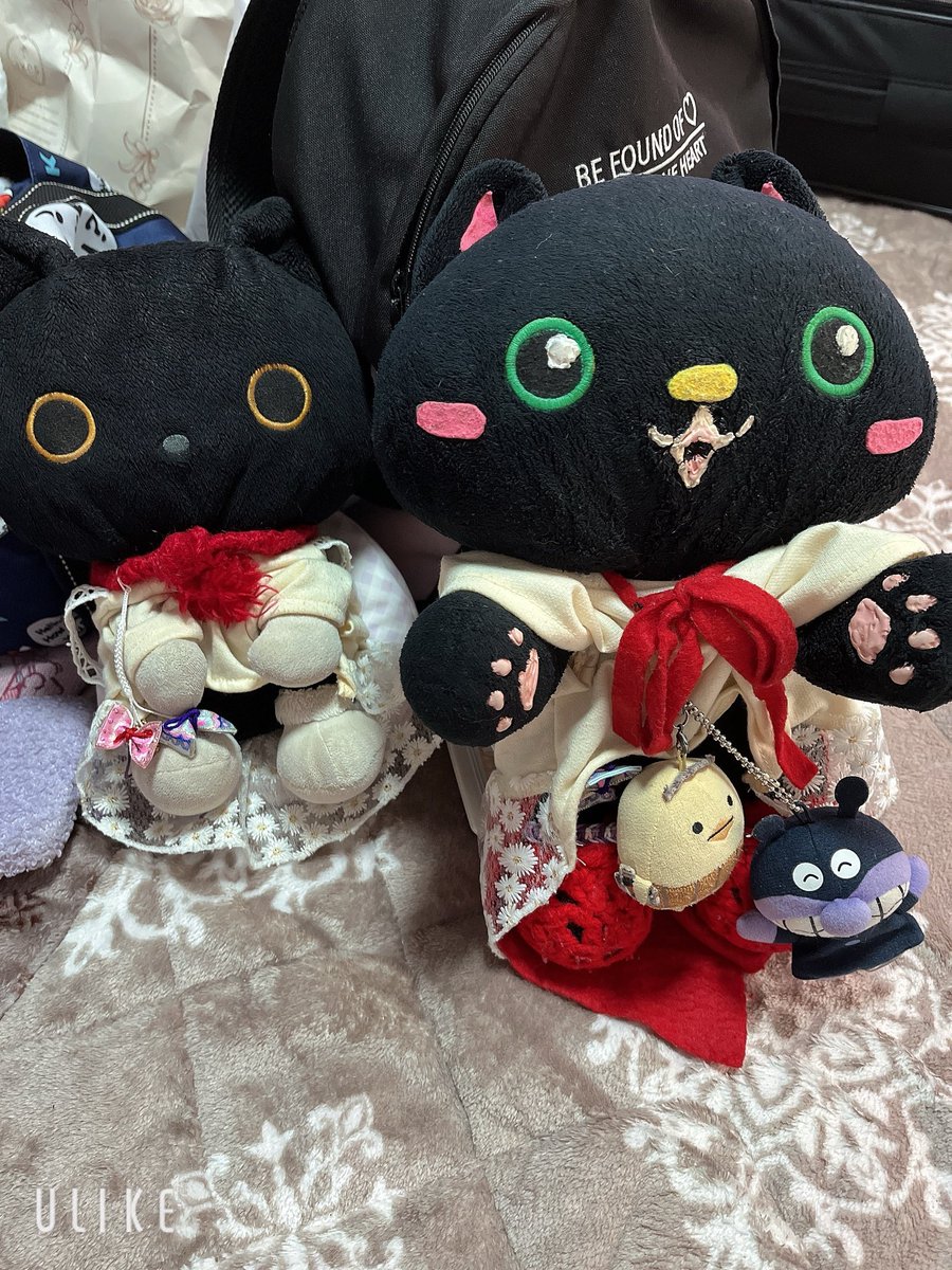 【公式】穂村愛莉とにゃんこマン tweet media