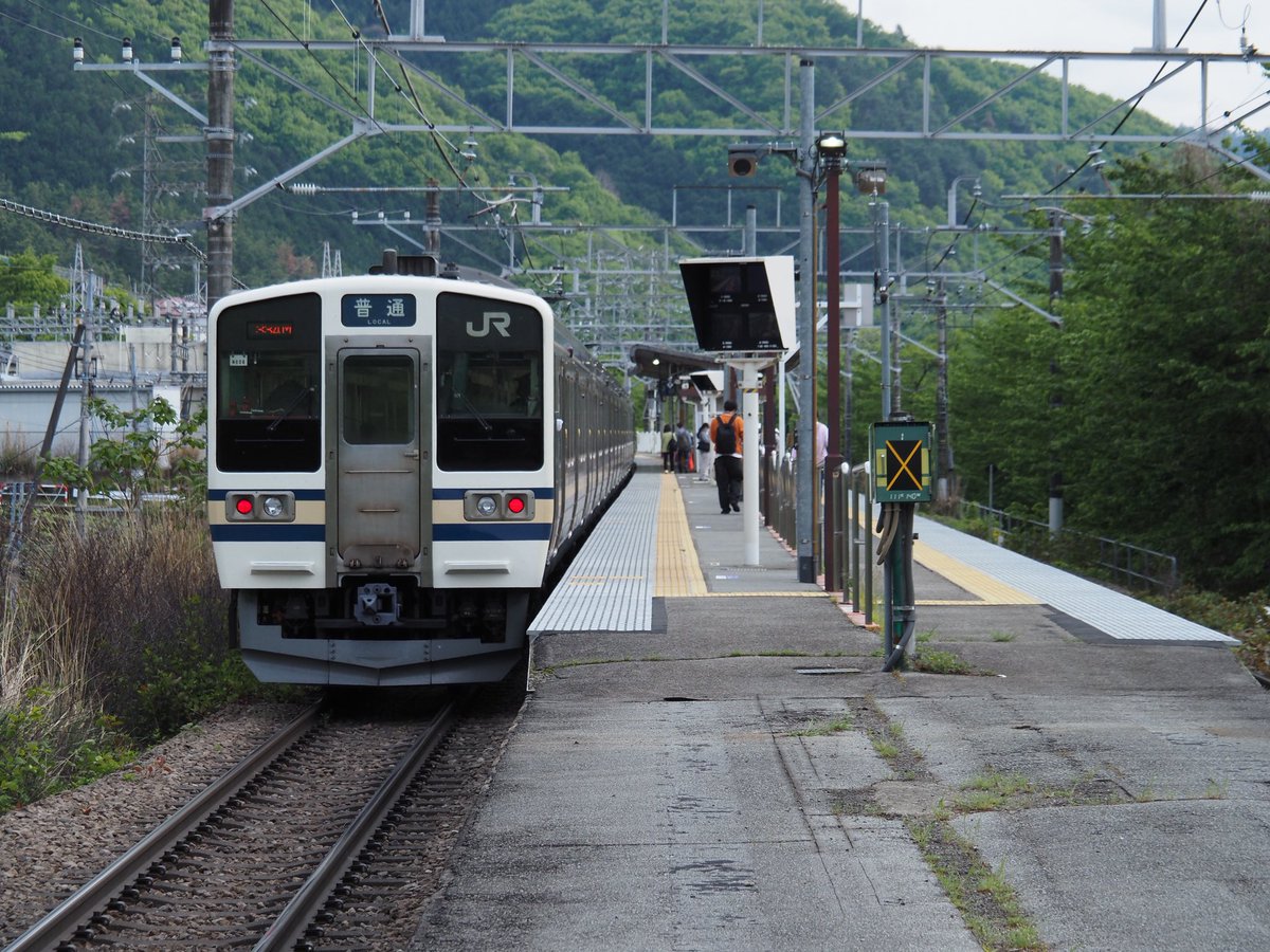 わたきち tweet media