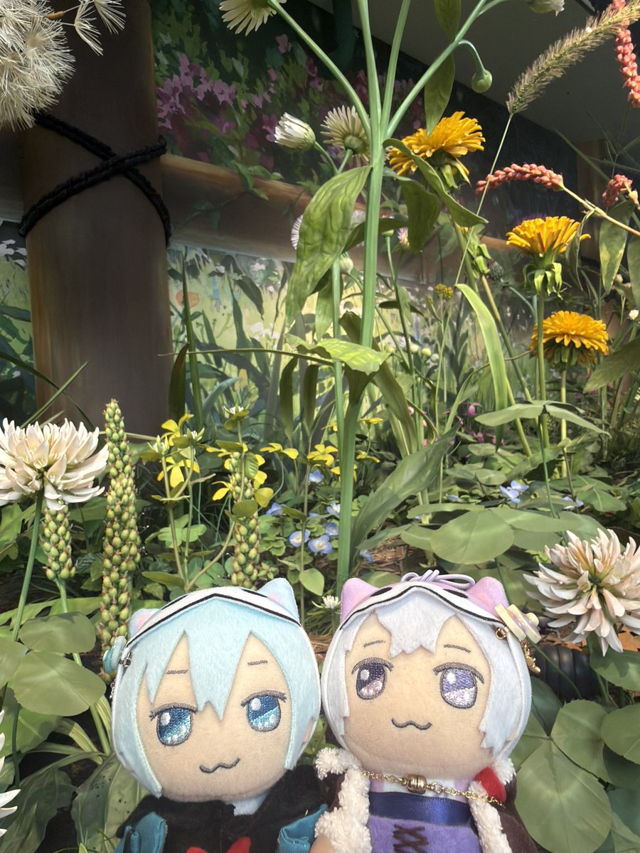 三四 tweet media