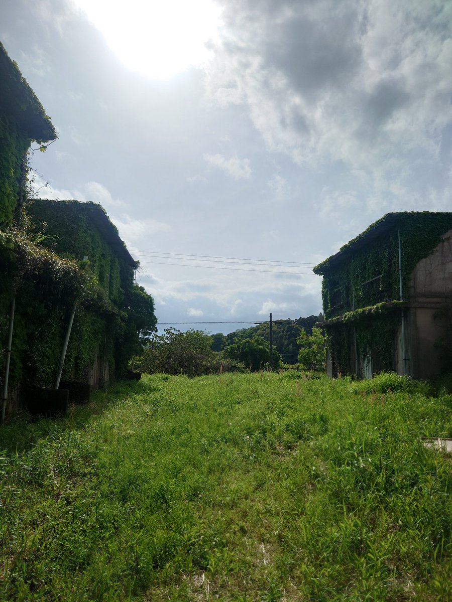 haniwasans's tweet photo. 初夏の団地。 https://t.co/rvHLPqI9bl