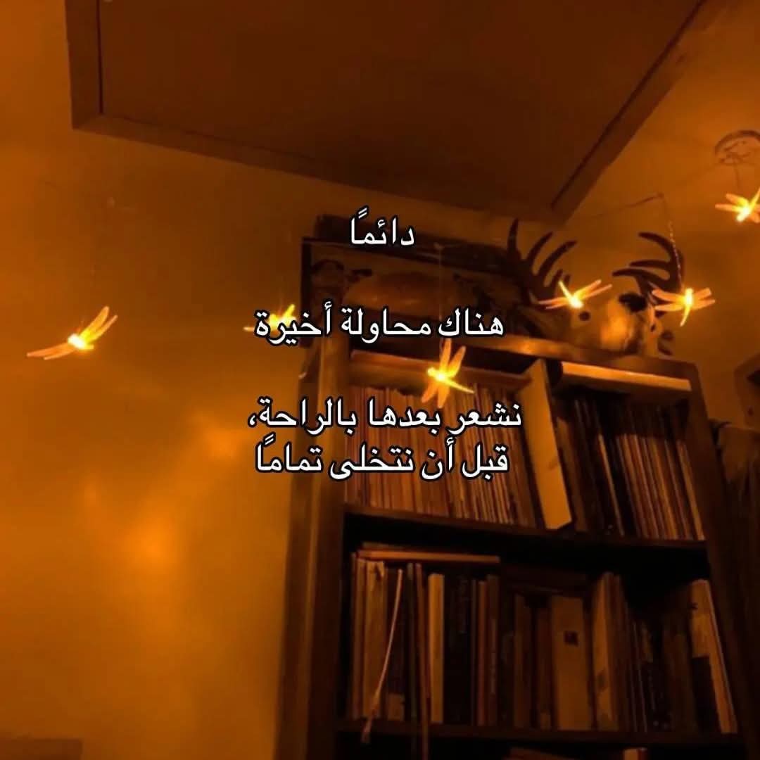AmiiraAyman's tweet photo. https://t.co/lv6xvf9NFB
