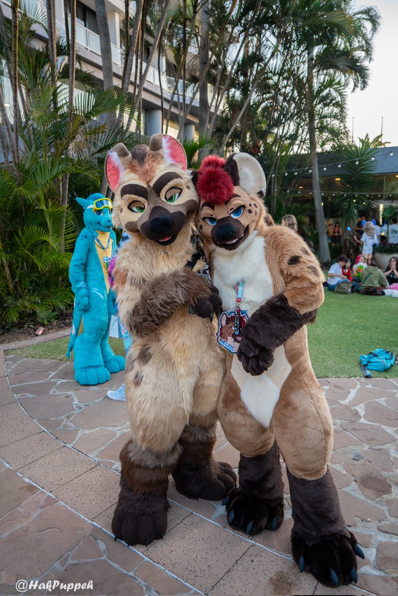 Helios the Hyena tweet media