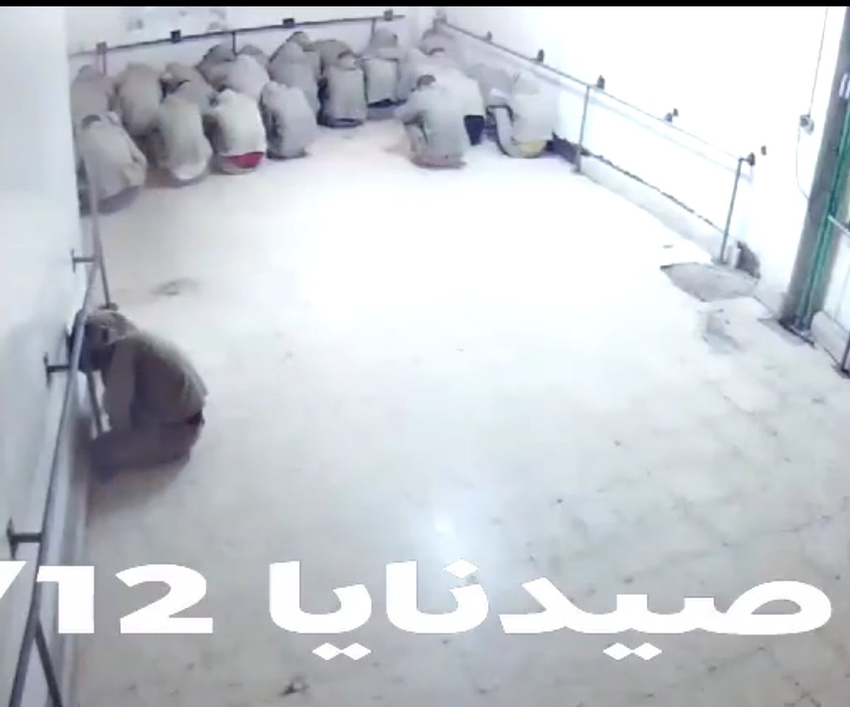 علاء الباشا Alaa Albacha tweet media