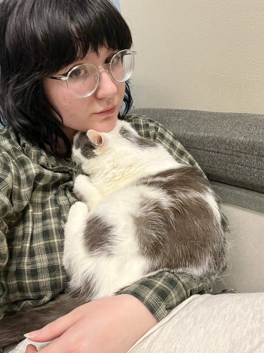 norberg & co tweet media