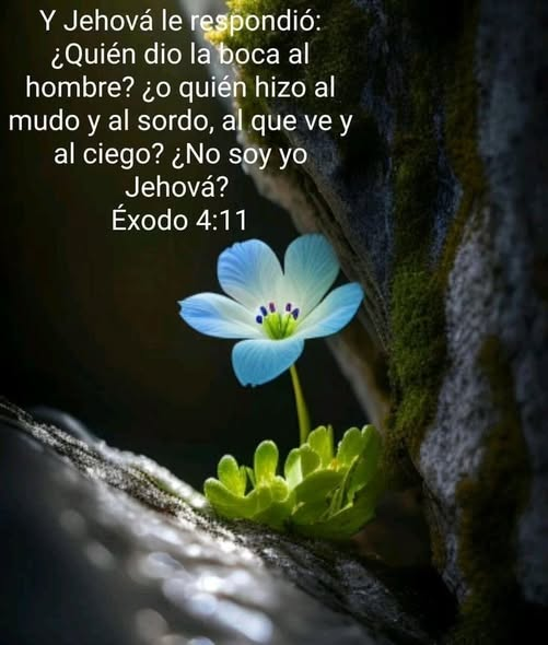 Rodrigo Varela tweet media