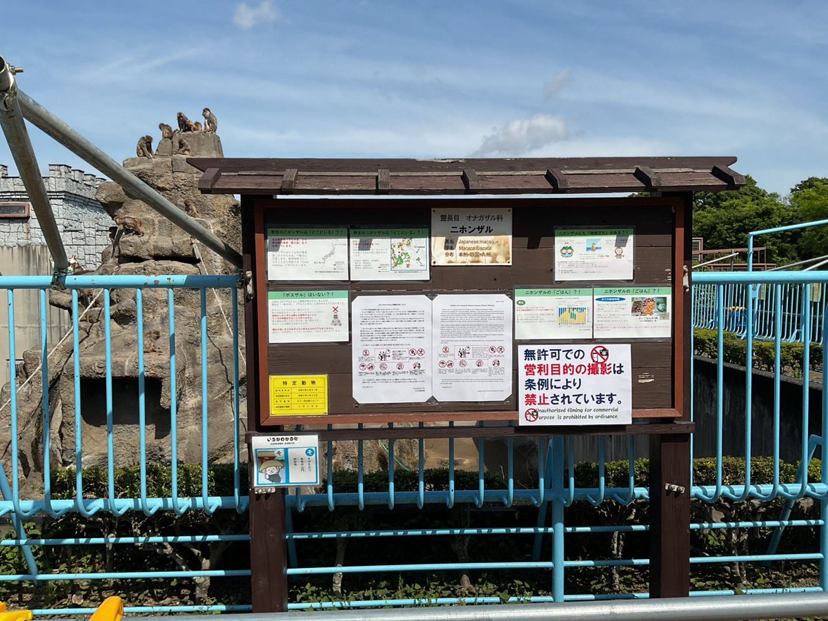 市川市動植物園（公式） tweet media