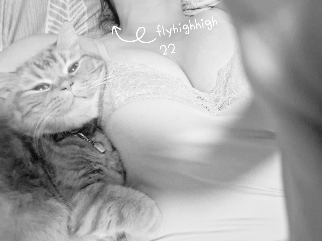 飛~起來❤️ tweet media