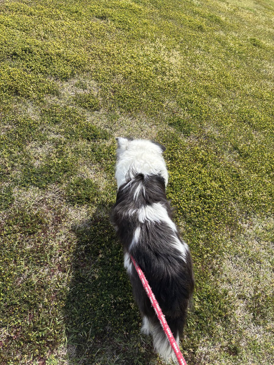 コイデ ヨシロウ tweet media