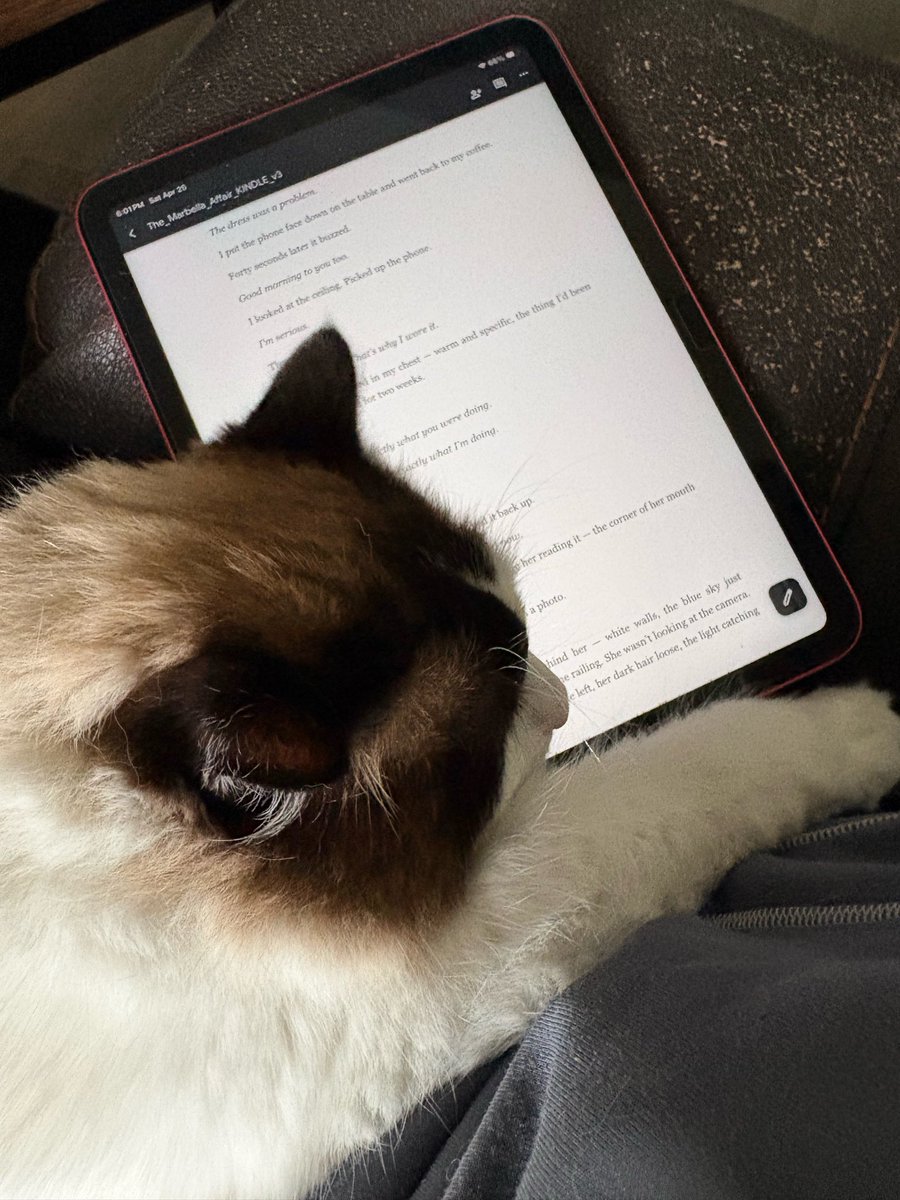 melirowda's tweet image. My cat has been on the manuscript for 20 minutes.
Luna and Ciro have their first fan. 🐱🖤
#MarbellaAffair #AuthorLife #darkromancebooks