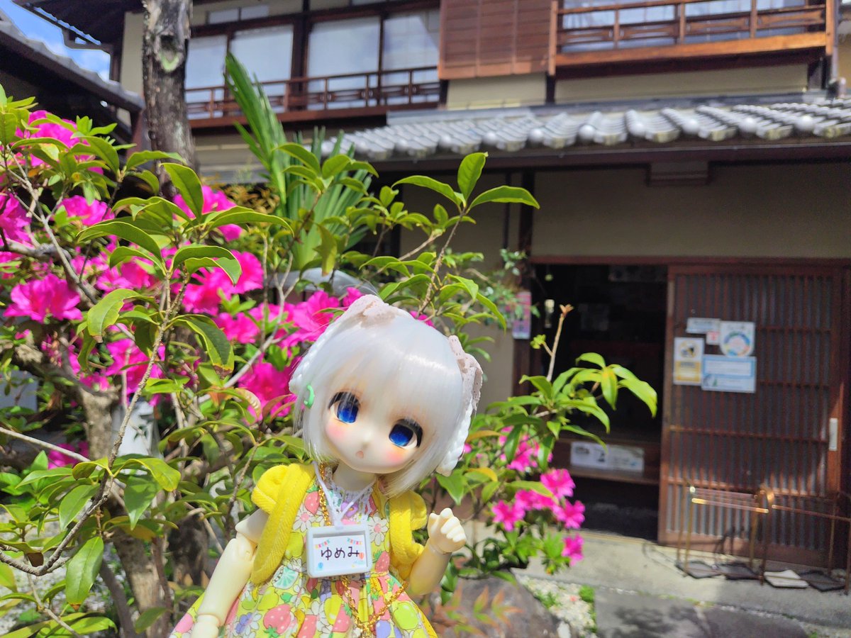 おはようございます☀
いよいよ明日からGW始まりますね〜
うちの勤務先はカレンダー通りなんですが、後半は休みを取って繋げてやるのじゃ！
みなさま今日もお元気でよい1日を〜
#TinyFox 
#お連れ様の名札