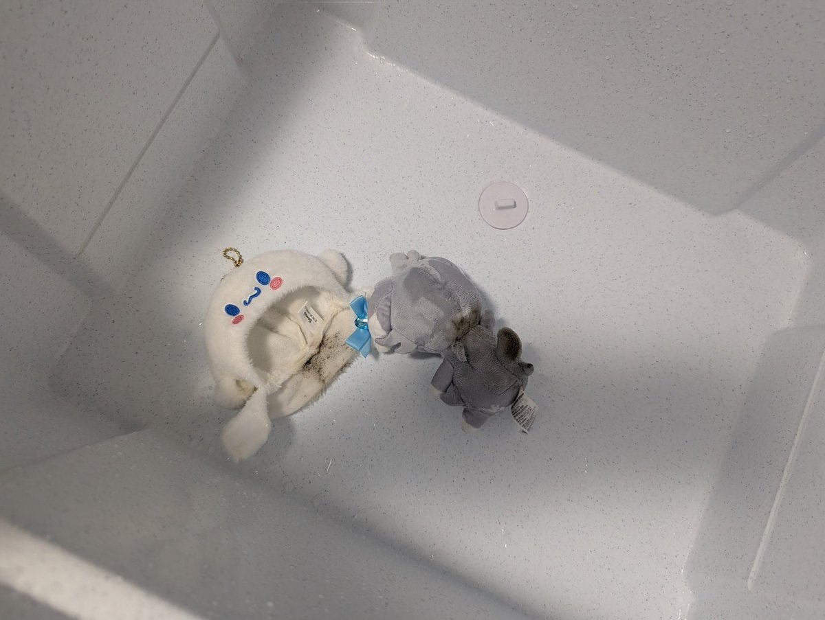 ぱくぱく tweet media