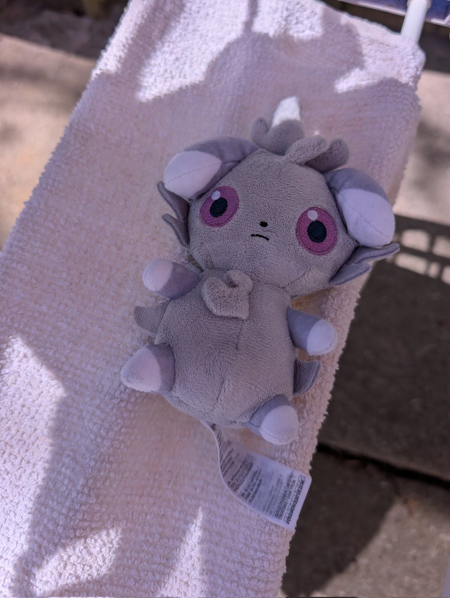 ぱくぱく tweet media