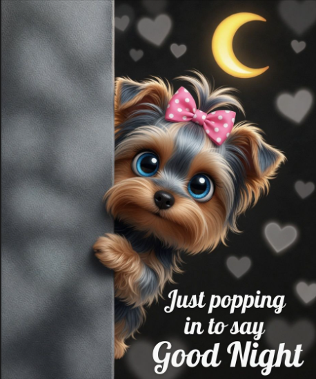 monibragau's tweet image. Have a nice #evening #night everyone.