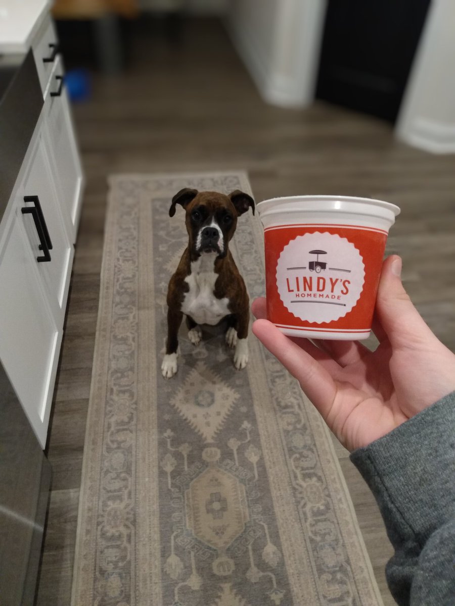 ⪼∘「ᴢᴜᴋᴀ」ᴏғ sʜᴛᴡᴛ tweet media