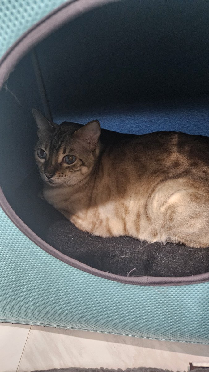 나른한 평일아침~!
화모닝입니다^^