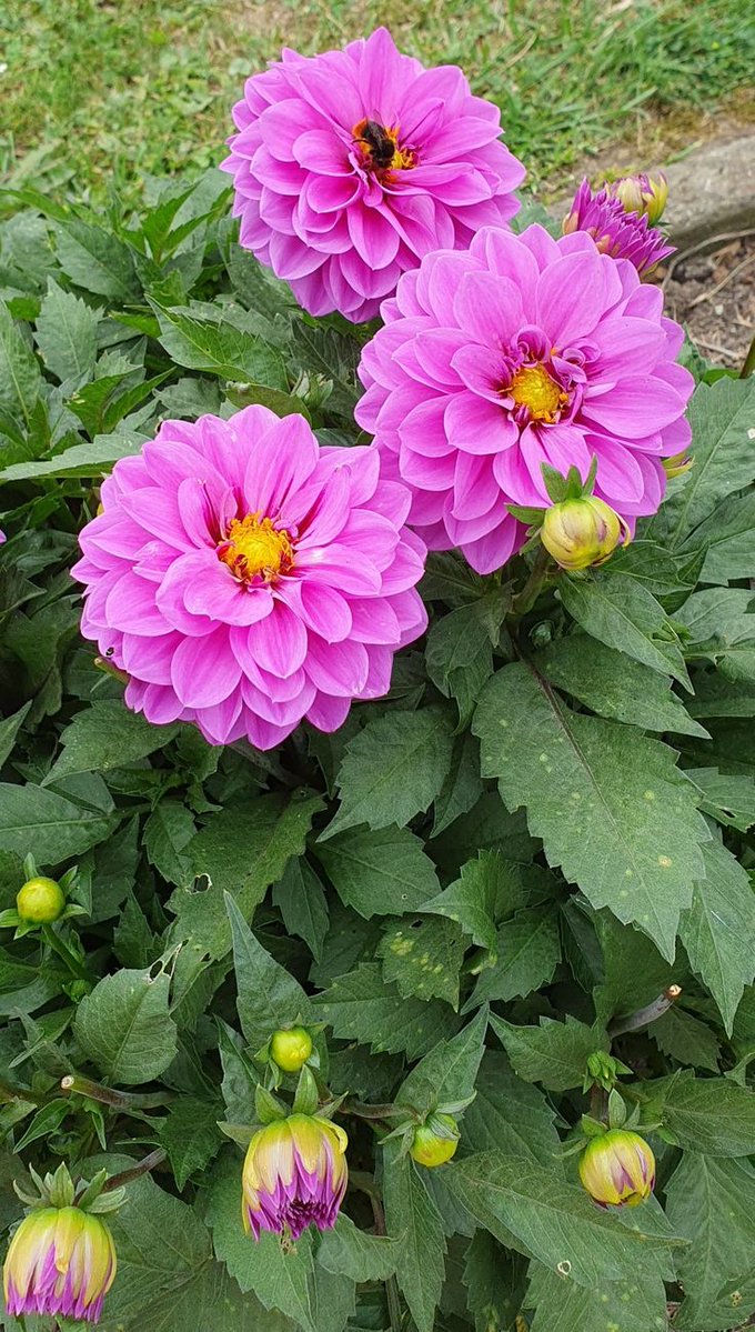 Good Morning 🌅

Every new morning brings a fresh opportunity —
to correct yesterday’s mistakes
and make today even better.

Keep smiling 😊 
because
today is one of the most valuable days of your life.

Have a beautiful and positive day ahead!