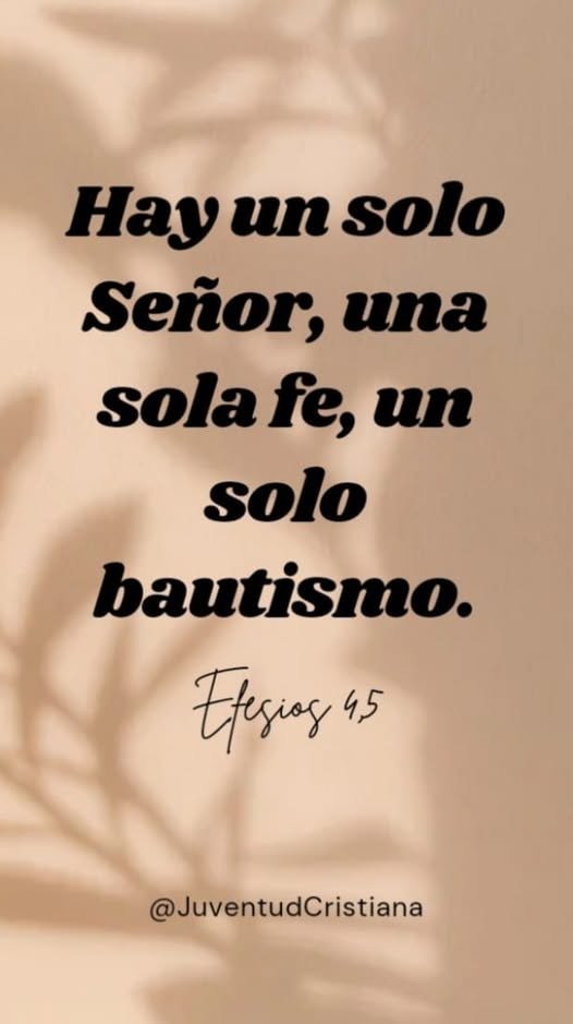 Rodrigo Varela tweet media