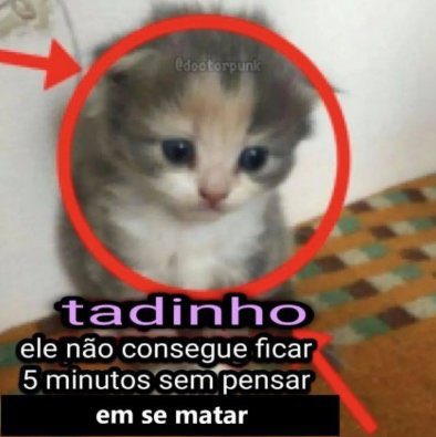 lili. ☕️ tweet media